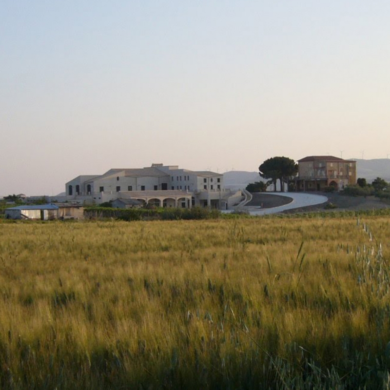 <div class="gallery__box__caption">Stabilimento enologico Feudi di Montalbo</div>